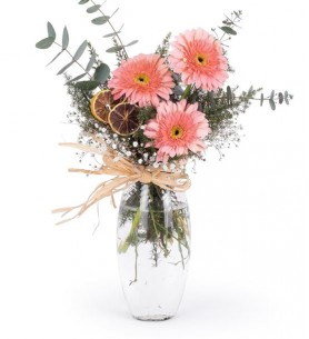 Pembe Gerbera Aranjmanı